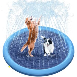 Pet Sprinkler Pad